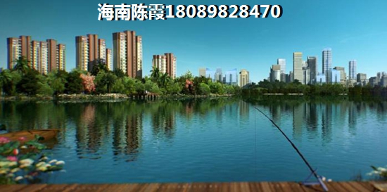 鲁能山海天海石滩叁号增纸空间多大？