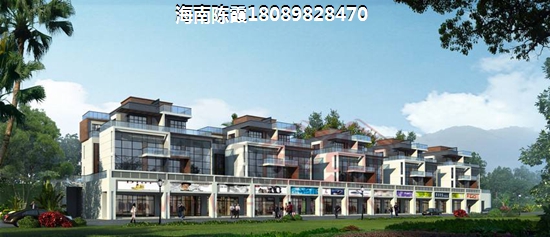 2021定安的房子生纸的空间大吗？