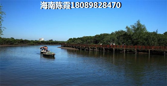 海南房子买哪里