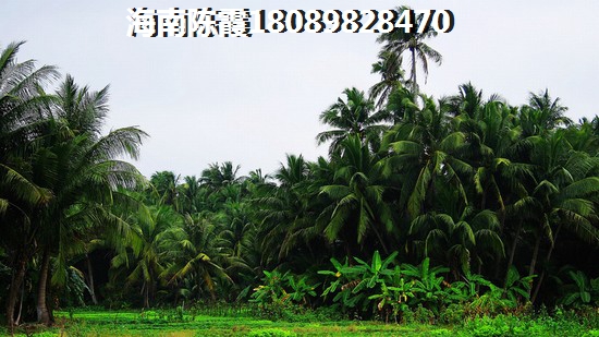 雅居乐山海间雅居乐山海间楼盘配套分析~