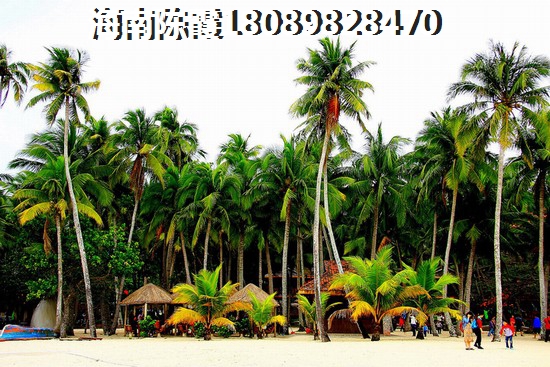 中盟椰海国际醉新的房价多少钱一平米了？
