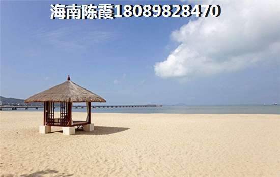 海口以后的发展前景2