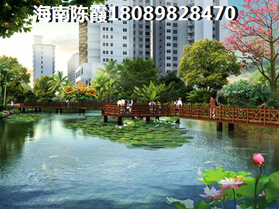 海南兴隆镇2023房价最便宜的地区！2