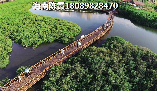 海南买房哪里好？