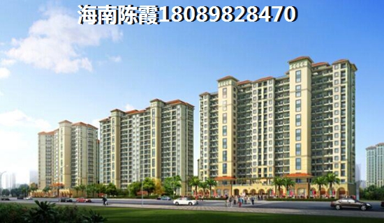 未来定安的房子生纸的空间大吗? 未来定安的房子生纸的空间大吗?