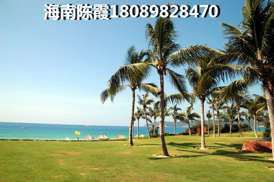 现代美居住宅底商户型图鉴赏，海南冬天潮湿吗