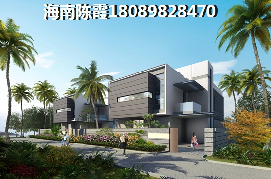 海棠10103月价格