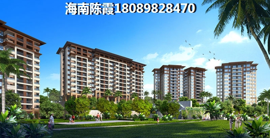 琼海什么项目纸得买？